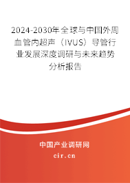2024-2030年全球與中國(guó)外周血管內(nèi)超聲（IVUS）導(dǎo)管行業(yè)發(fā)展深度調(diào)研與未來趨勢(shì)分析報(bào)告
