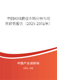 中國(guó)相機(jī)模組市場(chǎng)分析與前景趨勢(shì)報(bào)告（2025-2031年）