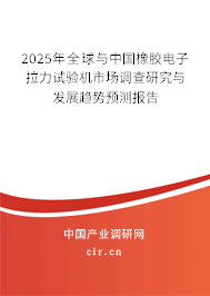 2025年全球與中國橡膠電子拉力試驗機市場調查研究與發(fā)展趨勢預測報告