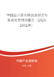 中國云計(jì)算市場調(diào)查研究與發(fā)展前景預(yù)測報(bào)告（2025-2031年）