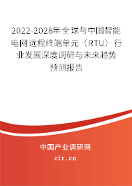 2022-2028年全球與中國智能電網(wǎng)遠(yuǎn)程終端單元（RTU）行業(yè)發(fā)展深度調(diào)研與未來趨勢預(yù)測報告
