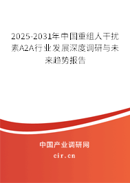 2025-2031年中國(guó)重組人干擾素Α2A行業(yè)發(fā)展深度調(diào)研與未來(lái)趨勢(shì)報(bào)告