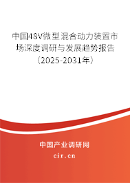 中國48V微型混合動力裝置市場深度調(diào)研與發(fā)展趨勢報告（2024-2030年）