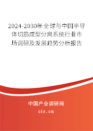 2024-2030年全球與中國半導(dǎo)體切筋成型分離系統(tǒng)行業(yè)市場調(diào)研及發(fā)展趨勢分析報(bào)告