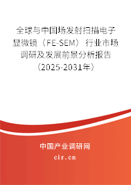 全球與中國場發(fā)射掃描電子顯微鏡（FE-SEM）行業(yè)市場調(diào)研及發(fā)展前景分析報告（2025-2031年）
