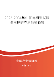 2025-2031年中國(guó)電機(jī)測(cè)試服務(wù)市場(chǎng)研究與前景趨勢(shì)