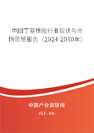 中國丁基橡膠行業(yè)現(xiàn)狀與市場前景報告（2024-2030年）