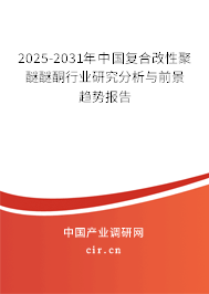 2024-2030年中國復(fù)合改性聚醚醚酮行業(yè)研究分析與前景趨勢報告