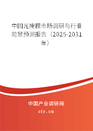 中國光掩模市場調研與行業(yè)前景預測報告（2025-2031年）