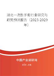 湖北一次性手套行業(yè)研究與趨勢預測報告（2023-2029年）