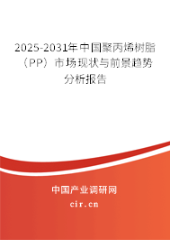 2025-2031年中國聚丙烯樹脂（PP）市場現狀與前景趨勢分析報告