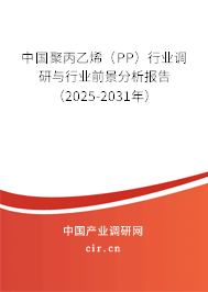 中國聚丙乙烯（PP）行業(yè)調(diào)研與行業(yè)前景分析報(bào)告（2025-2031年）