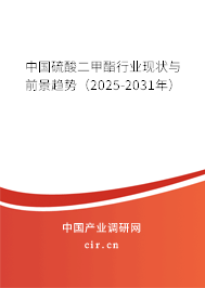 中國硫酸二甲酯行業(yè)現(xiàn)狀與前景趨勢（2025-2031年）