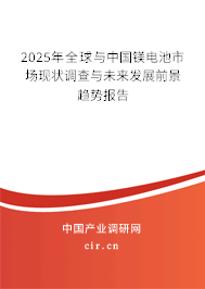 2025年全球與中國(guó)鎂電池市場(chǎng)現(xiàn)狀調(diào)查與未來發(fā)展前景趨勢(shì)報(bào)告
