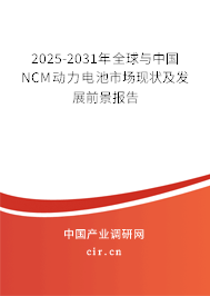 2025-2031年全球與中國NCM動力電池市場現(xiàn)狀及發(fā)展前景報告