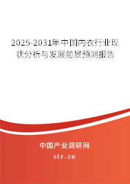 2025-2031年中國(guó)內(nèi)衣行業(yè)現(xiàn)狀分析與發(fā)展前景預(yù)測(cè)報(bào)告