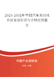 2025-2031年中國汽車發(fā)動機系統(tǒng)發(fā)展現(xiàn)狀與市場前景報告