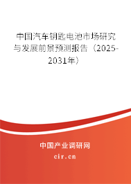 中國汽車鑰匙電池市場研究與發(fā)展前景預測報告（2025-2031年）