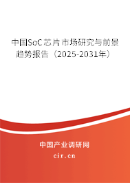 中國(guó)SoC芯片市場(chǎng)研究與前景趨勢(shì)報(bào)告（2025-2031年）