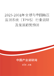 2025-2031年全球與中國胎壓監(jiān)測系統(tǒng)（TPMS）行業(yè)調(diào)研及發(fā)展趨勢預測