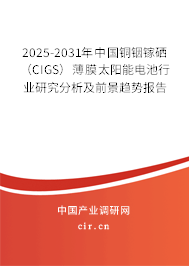 2025-2031年中國銅銦鎵硒（CIGS）薄膜太陽能電池行業(yè)研究分析及前景趨勢(shì)報(bào)告