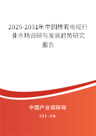 2025-2031年中國橡套電纜行業(yè)市場調(diào)研與發(fā)展趨勢研究報告
