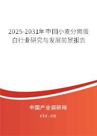 2025-2031年中國(guó)小麥分離蛋白行業(yè)研究與發(fā)展前景報(bào)告