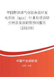 中國整體煤氣化聯(lián)合循環(huán)發(fā)電系統(tǒng)（igcc）行業(yè)現(xiàn)狀調(diào)研分析及發(fā)展趨勢預(yù)測報告（2025版）