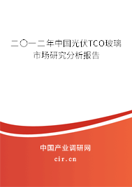 二〇一二年中國(guó)光伏TCO玻璃市場(chǎng)研究分析報(bào)告