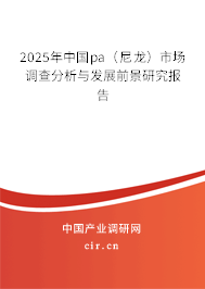 2025年中國pa（尼龍）市場調查分析與發(fā)展前景研究報告
