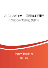 2025-2031年中國槽車球閥行業(yè)研究與發(fā)展前景報告