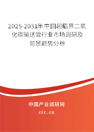 2025-2031年中國(guó)超臨界二氧化碳輸送管行業(yè)市場(chǎng)調(diào)研及前景趨勢(shì)分析