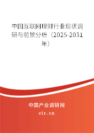 中國互聯(lián)網(wǎng)理財(cái)行業(yè)現(xiàn)狀調(diào)研與前景分析（2025-2031年）