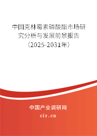 中國克林霉素磷酸酯市場研究分析與發(fā)展前景報告（2025-2031年）