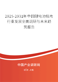 2025-2031年中國(guó)鋰電池極片行業(yè)發(fā)展全面調(diào)研與未來(lái)趨勢(shì)報(bào)告