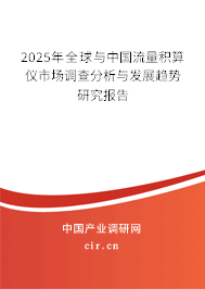 2025年全球與中國(guó)流量積算儀市場(chǎng)調(diào)查分析與發(fā)展趨勢(shì)研究報(bào)告