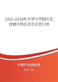 2025-2031年全球與中國匹克球拍市場現(xiàn)狀及前景分析