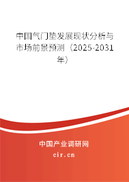 中國氣門墊發(fā)展現(xiàn)狀分析與市場前景預(yù)測（2025-2031年）
