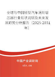 全球與中國輕型汽車渦輪增壓器行業(yè)現(xiàn)狀調(diào)研及未來發(fā)展趨勢分析報告（2025-2031年）