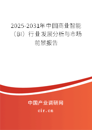 2025-2031年中國(guó)商業(yè)智能（BI）行業(yè)發(fā)展分析與市場(chǎng)前景報(bào)告