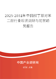2025-2031年中國叔丁基對苯二酚行業(yè)現(xiàn)狀調研與前景趨勢報告