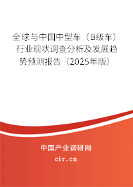 全球與中國中型車（B級(jí)車）行業(yè)現(xiàn)狀調(diào)查分析及發(fā)展趨勢預(yù)測報(bào)告（2025年版）