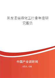 黑龍江省煤化工行業(yè)年度研究報(bào)告