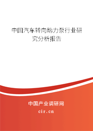 中國汽車轉(zhuǎn)向助力泵行業(yè)研究分析報告