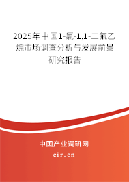 2025年中國(guó)1-氯-1,1-二氟乙烷市場(chǎng)調(diào)查分析與發(fā)展前景研究報(bào)告