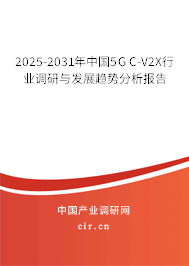 2025-2031年中國5G C-V2X行業(yè)調(diào)研與發(fā)展趨勢分析報告