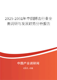 2024-2030年中國(guó)搏擊行業(yè)全面調(diào)研與發(fā)展趨勢(shì)分析報(bào)告