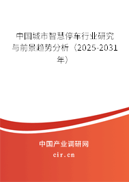 中國城市智慧停車行業(yè)研究與前景趨勢(shì)分析（2025-2031年）