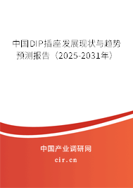中國(guó)DIP插座發(fā)展現(xiàn)狀與趨勢(shì)預(yù)測(cè)報(bào)告（2025-2031年）