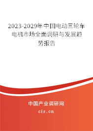 2023-2029年中國電動三輪車電機市場全面調(diào)研與發(fā)展趨勢報告